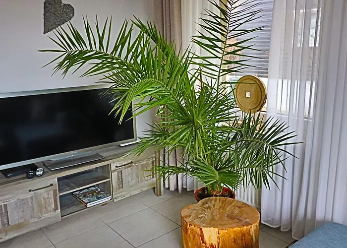 Lichtblick Hahnenklee - Happy Harz * Goslar